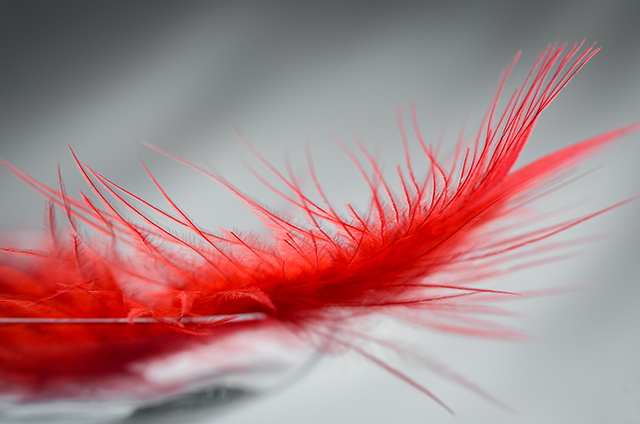 20161005123539_extase 20161005123539_extase