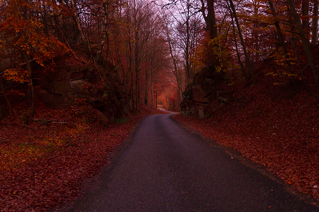 20161005123630__mg_9354 20161005123630__mg_9354