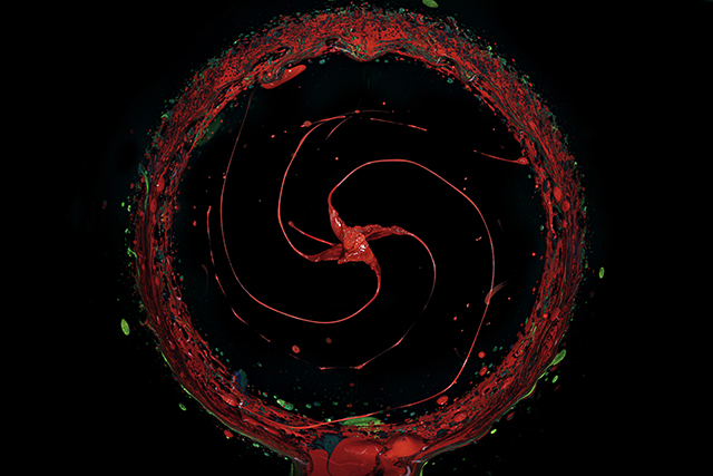 20161006064358__dsc8643 20161006064358__dsc8643