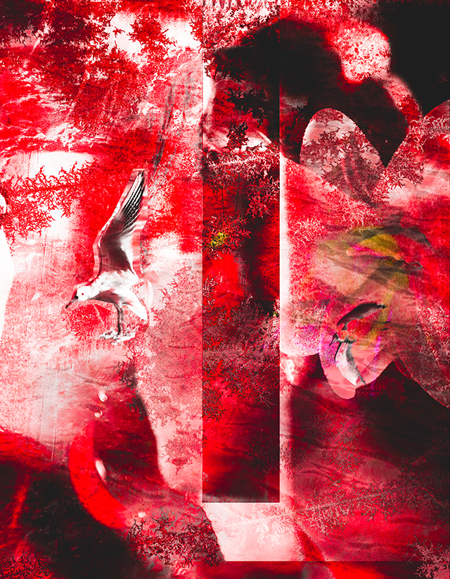 20161006132522_herve_bernard_ouverture106c 20161006132522_herve_bernard_ouverture106c