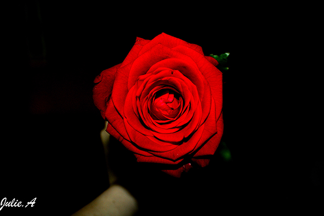 20161006150855_sans_titre_4 20161006150855_sans_titre_4