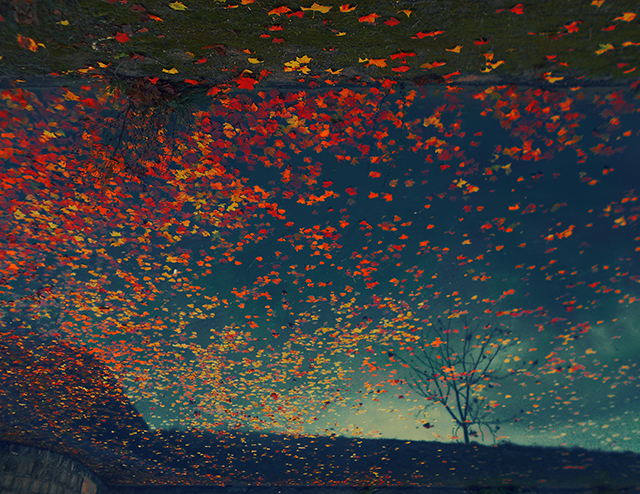 20161006153536_esen 20161006153536_esen