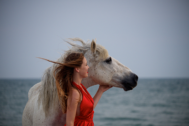 20161008171530_dscf9137 20161008171530_dscf9137