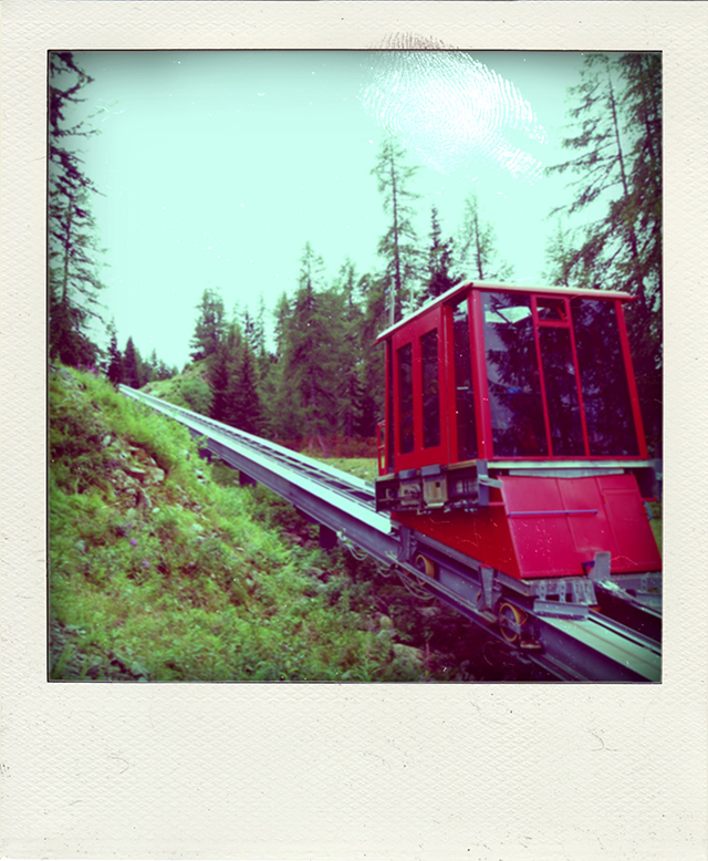 20161009174715_dsc_5268_pola 20161009174715_dsc_5268_pola