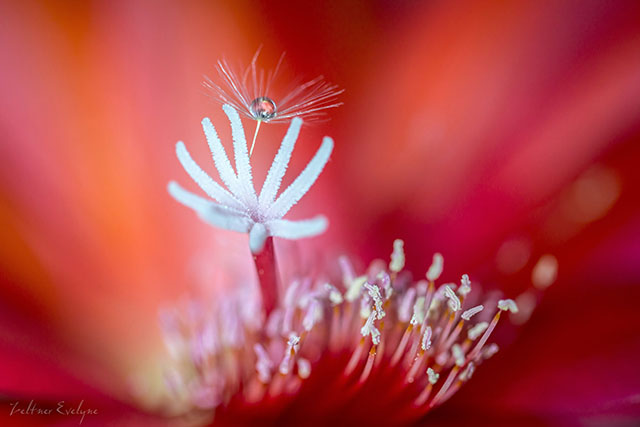 20161005150021_incandescence 20161005150021_incandescence