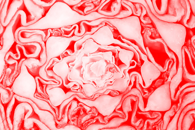 20161005163043_competence_photo_richard 20161005163043_competence_photo_richard