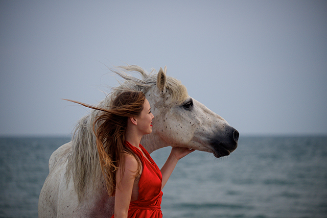 20161006140023_dscf9137 20161006140023_dscf9137