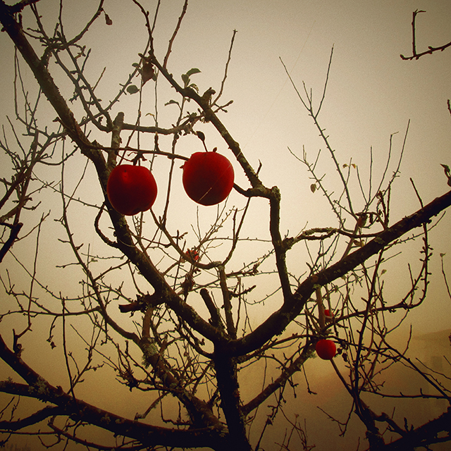 20161009154908_smile2 20161009154908_smile2