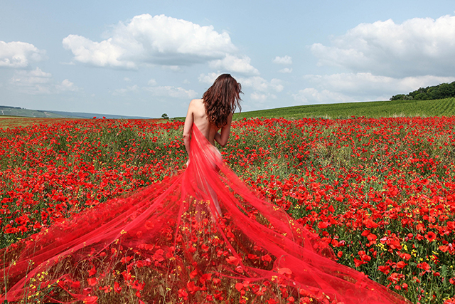 20161009190903_img_6526_1___copie 20161009190903_img_6526_1___copie