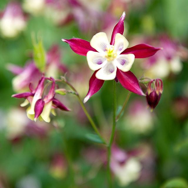 20161010145129__dsc2567 20161010145129__dsc2567