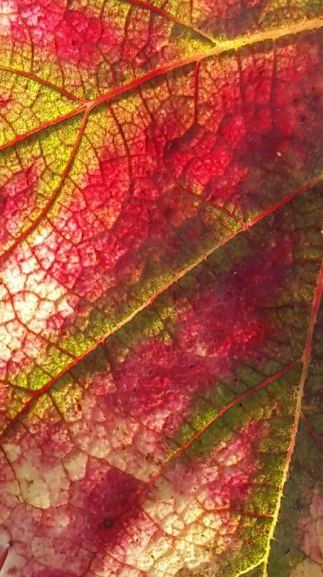 20161010162027_2016_10_10_11_00_56 20161010162027_2016_10_10_11_00_56