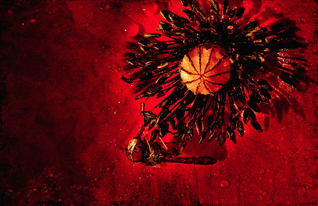 20161010202531_au_coeur 20161010202531_au_coeur