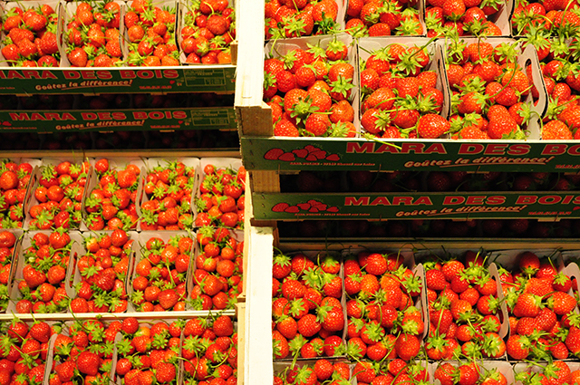 20161011112650_rouge_1 20161011112650_rouge_1