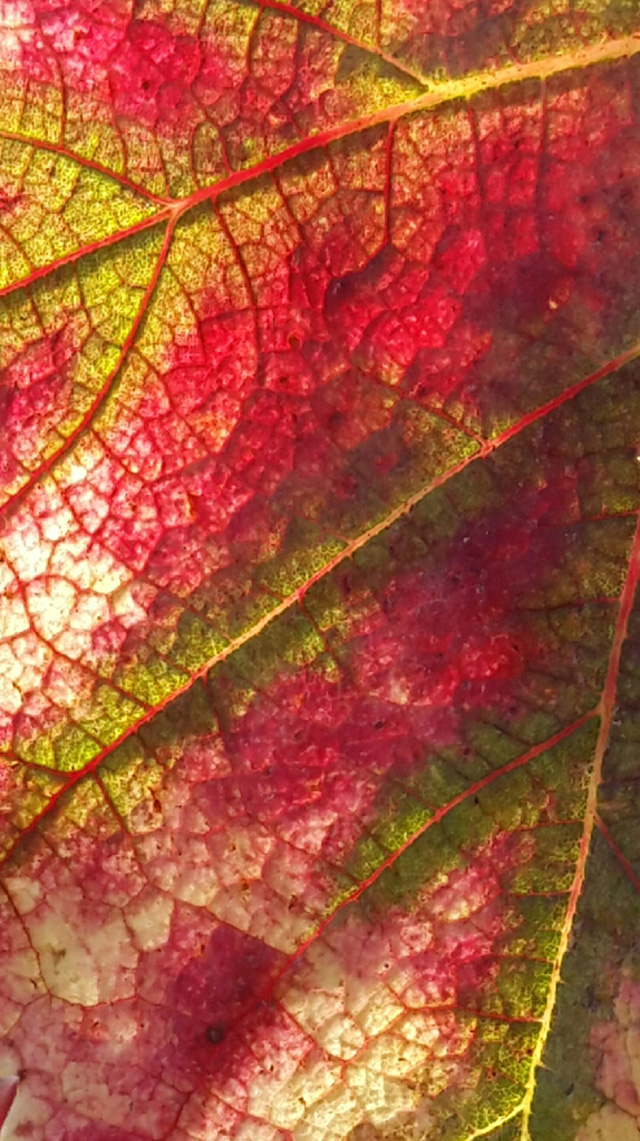 20161012084606_2016_10_10_11_00_56 20161012084606_2016_10_10_11_00_56