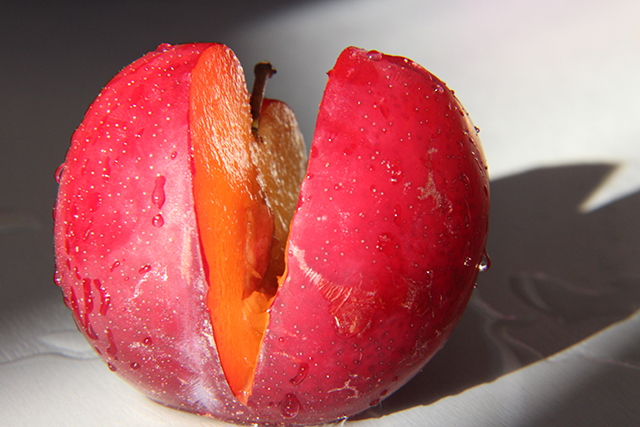 20161012111322_img_2080 20161012111322_img_2080