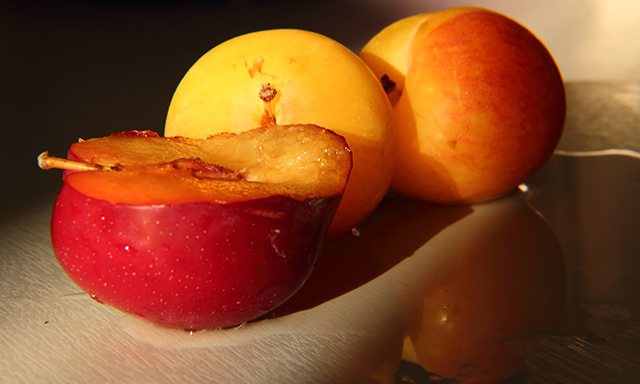 20161012111700_morin_louis___peche_a_l_eau 20161012111700_morin_louis___peche_a_l_eau