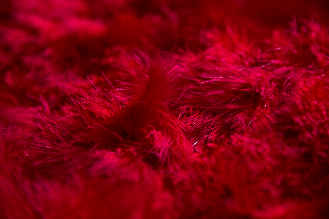 20161012111804_img_6736_1 20161012111804_img_6736_1