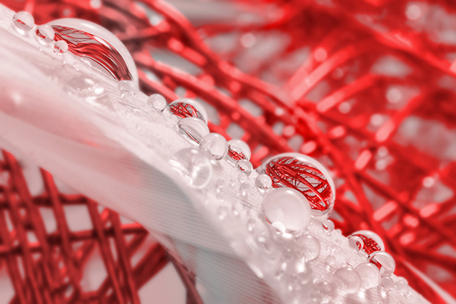 20161012210739_mg88_as_smart_object_1 20161012210739_mg88_as_smart_object_1