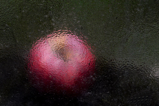 20161012215810_3_lfr4044 20161012215810_3_lfr4044