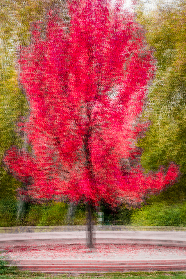 20161010200040_fk1a0265 20161010200040_fk1a0265