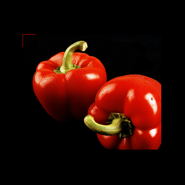 20161011121701_maud_piderit__3_ 20161011121701_maud_piderit__3_