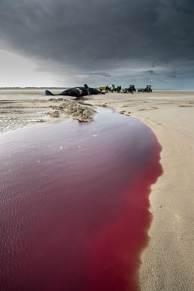 20161010195312__re_5405 20161010195312__re_5405