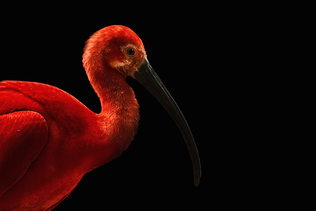 20161012210912_dsc04178_as_smart_object_1_clipped_rev_1 20161012210912_dsc04178_as_smart_object_1_clipped_rev_1