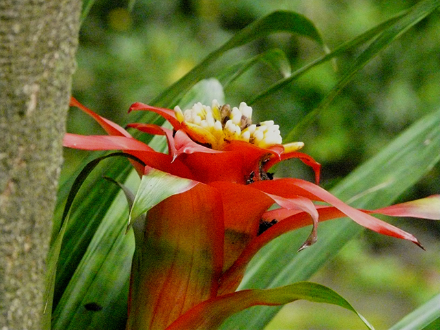 20161013162835_p1080337 20161013162835_p1080337