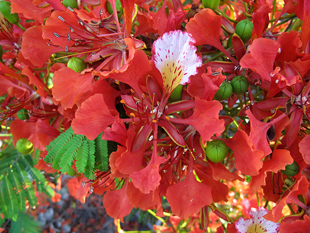 20161013163129_img_2441 20161013163129_img_2441