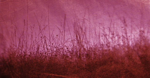 20161013180704_bourdouleix_schambill__red 20161013180704_bourdouleix_schambill__red