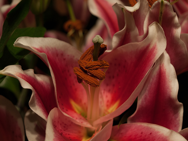 20161013224840_p1010024 20161013224840_p1010024