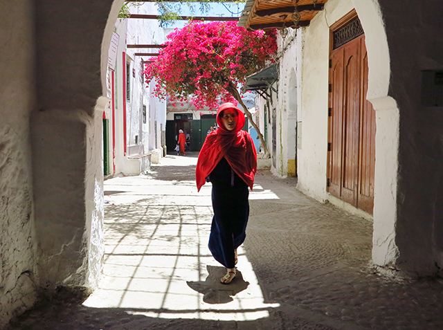 20161013105705_l__arbre_andalou 20161013105705_l__arbre_andalou