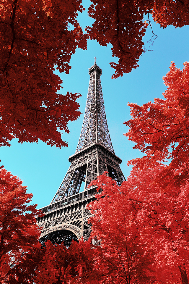 20161013134419_red_lady_plferrer 20161013134419_red_lady_plferrer