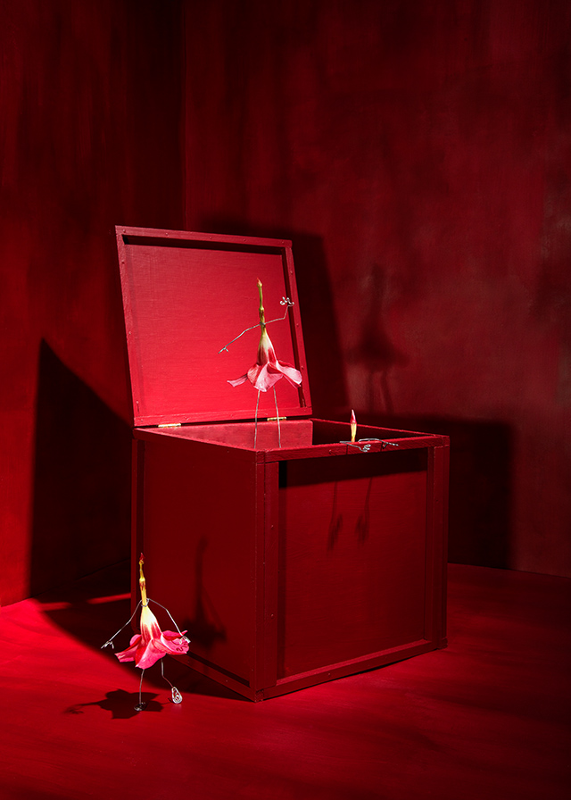 20161013135953___daniel_cluzel___20161009___red 20161013135953___daniel_cluzel___20161009___red