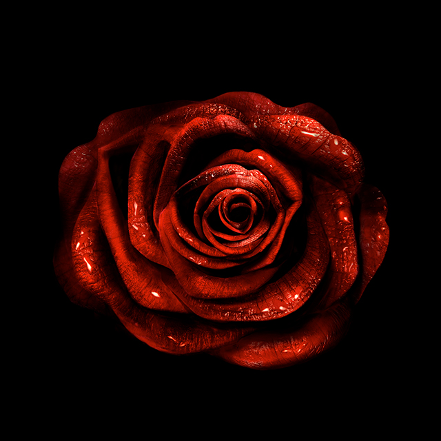 20161013144118_gourmandise___rose_de_lèvres_ 20161013144118_gourmandise___rose_de_lèvres_