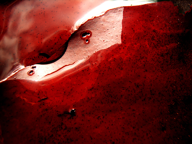 20161014103036_algues8969 20161014103036_algues8969