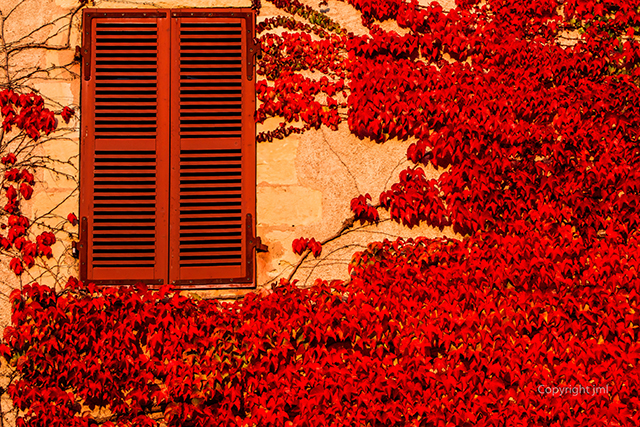 20161014221918_jml_2015_img_7607 20161014221918_jml_2015_img_7607