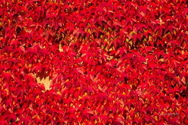 20161014222414_jml_2015_img_7609 20161014222414_jml_2015_img_7609