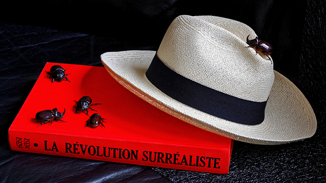 20161015001044_le_reve_eveille 20161015001044_le_reve_eveille