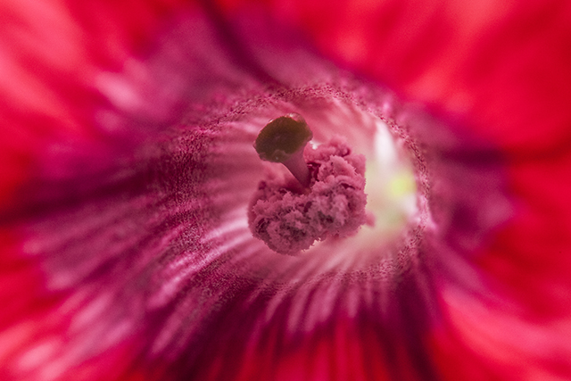 20161015012226_abstractions_colorees_4 20161015012226_abstractions_colorees_4