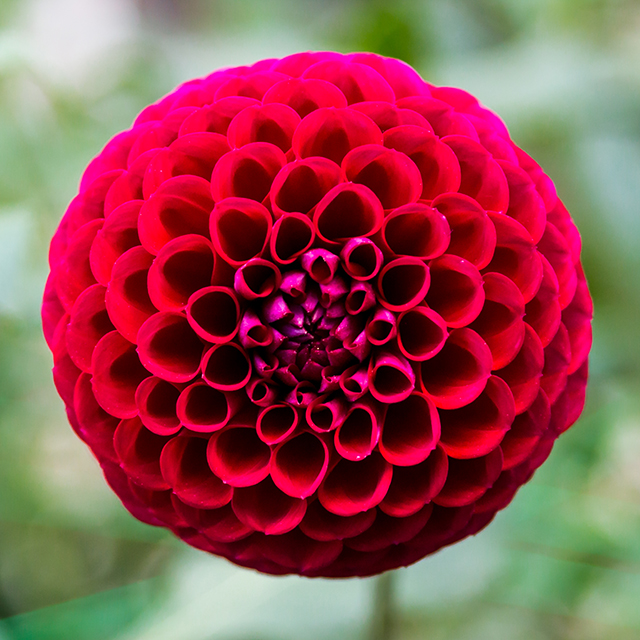 20161014223929_jml_2016_img_9829 20161014223929_jml_2016_img_9829