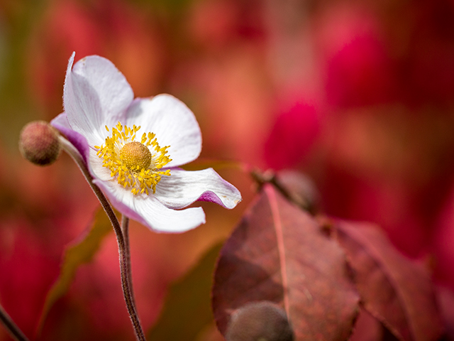 20161016184653__oly2574 20161016184653__oly2574