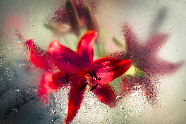 20161017173354_dsc_7888_5 20161017173354_dsc_7888_5