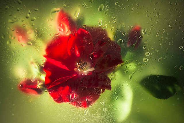 20161017183108_dsc_3298_2 20161017183108_dsc_3298_2