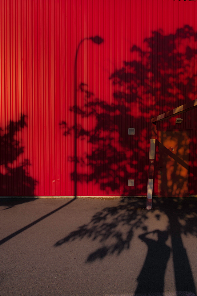 20161017150903_dsc_2029a 20161017150903_dsc_2029a