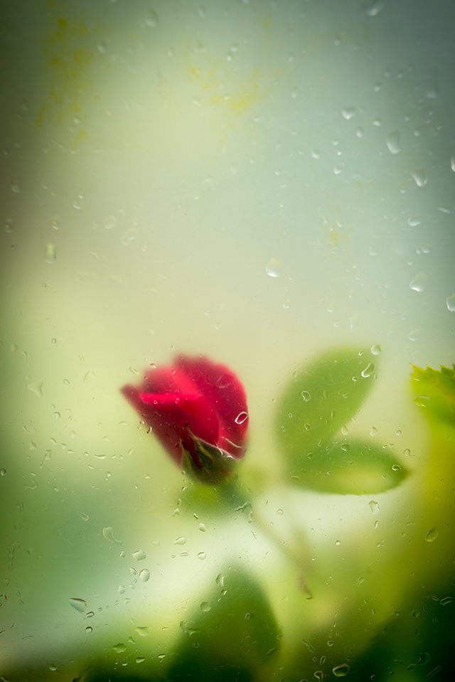 20161017184329_dsc_3290 20161017184329_dsc_3290