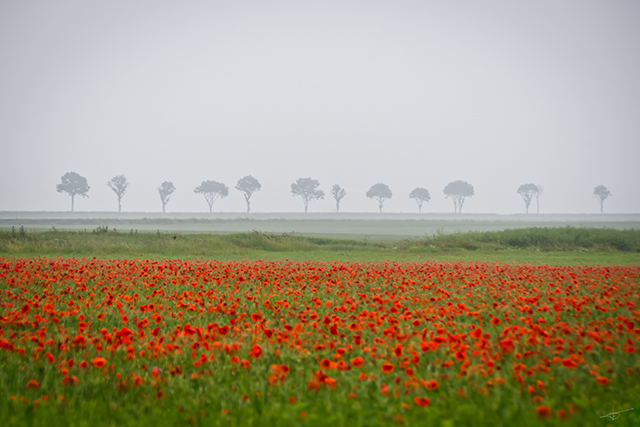 20161017133216_40_campagne2