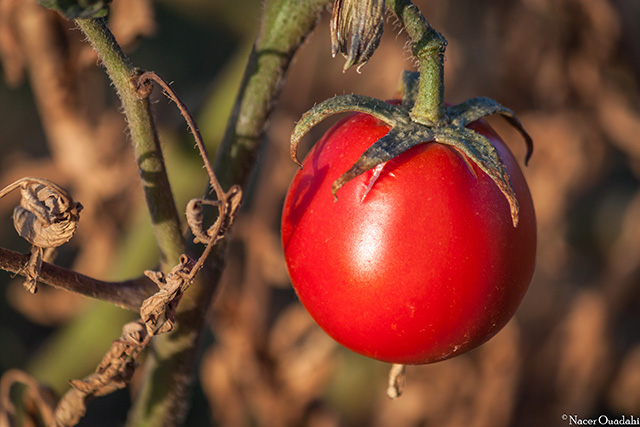 20161018131951_img_1187 20161018131951_img_1187