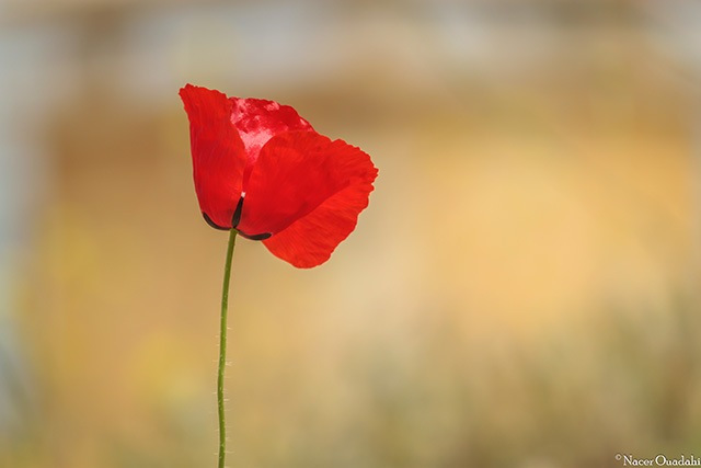 20161018140359_a__10_ 20161018140359_a__10_