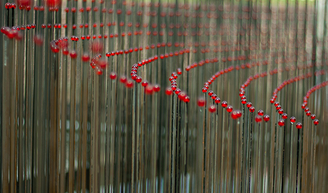 20161018220646_img_6132_2 20161018220646_img_6132_2